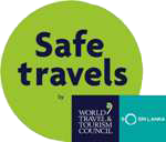 Safe Travel Badge